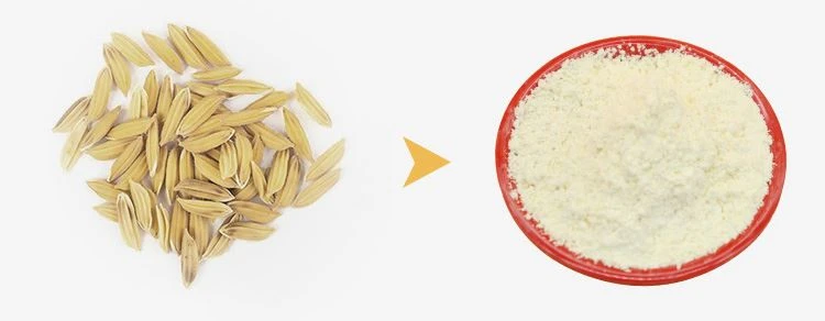 Gamma Oryzanol Powder 1 Gamma Oryzanol Powder 1