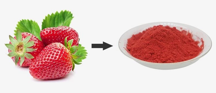 Freeze Dried Strawberry Powder 1 Freeze Dried Strawberry Powder 1