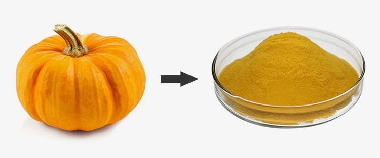 Pumpkin Powder Bulk 1 Pumpkin Powder Bulk 1