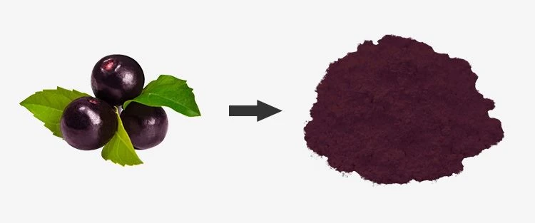 Freeze Dried Acai Powder d1