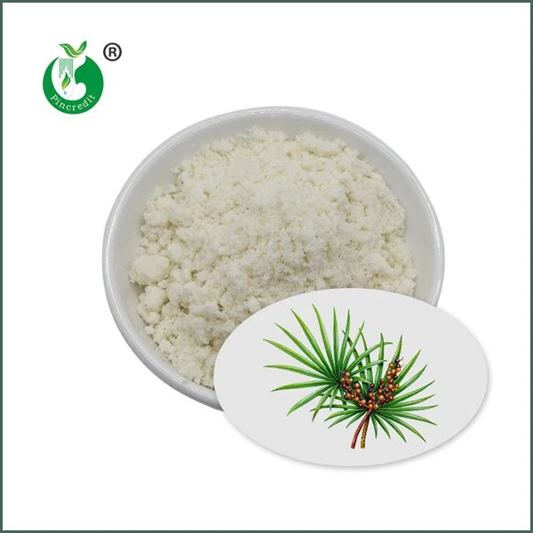Zāģētais Palmetto ekstrakta pulveris