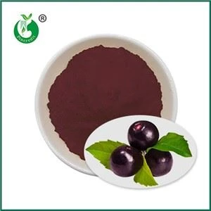Acai ogu sulas pulveris