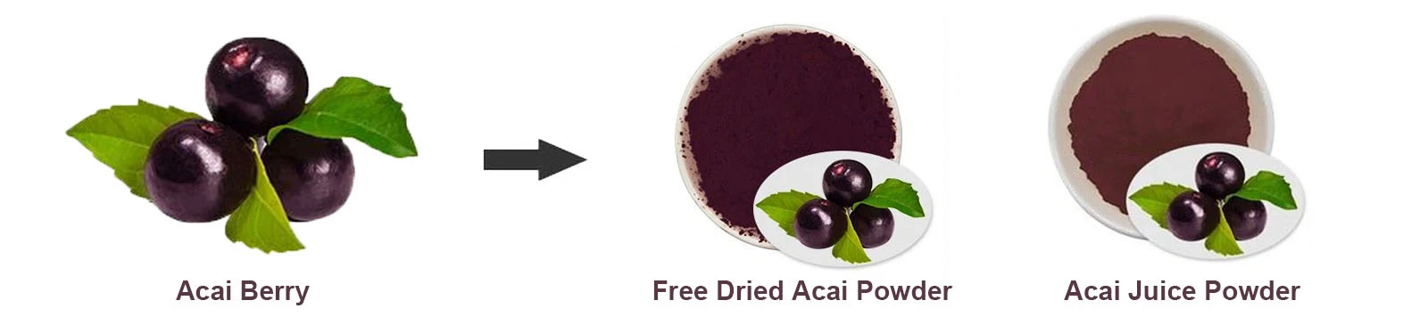 Acai Berry Powder