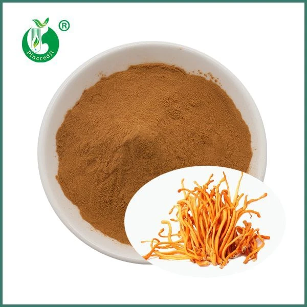 Cordyceps Militaris ekstrakta pulveris