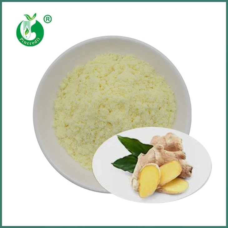 Gingerol pulveris