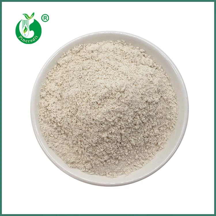 Trans Resveratrol pulveris